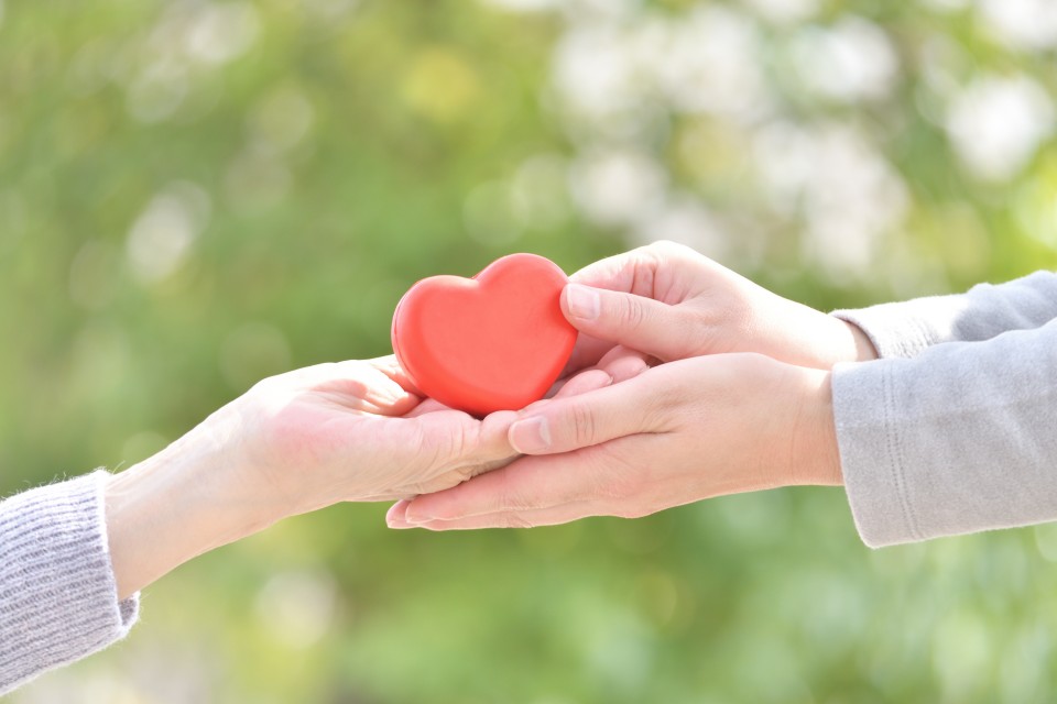 AdobeStock_423894436-960x640